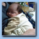 [Click to enlarge image]