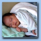 [Click to enlarge image]