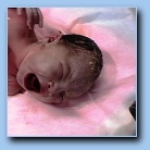 [Click to enlarge image]