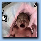 [Click to enlarge image]