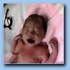 [Click to enlarge image]