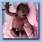 [Click to enlarge image]